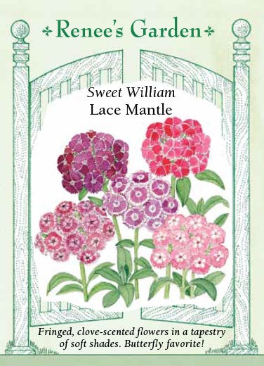 RG Sweet William Lace Mantle 